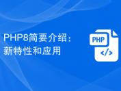PHP8简要介绍：新特性和应用