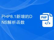 PHP8.1新增的DNS解析函数