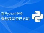 在Python中检查线程是否已启动